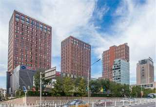 绍兴金丝楠佛像直销